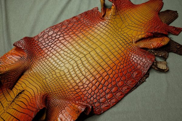 Những điều cần biết khi mua ví da cá sấu