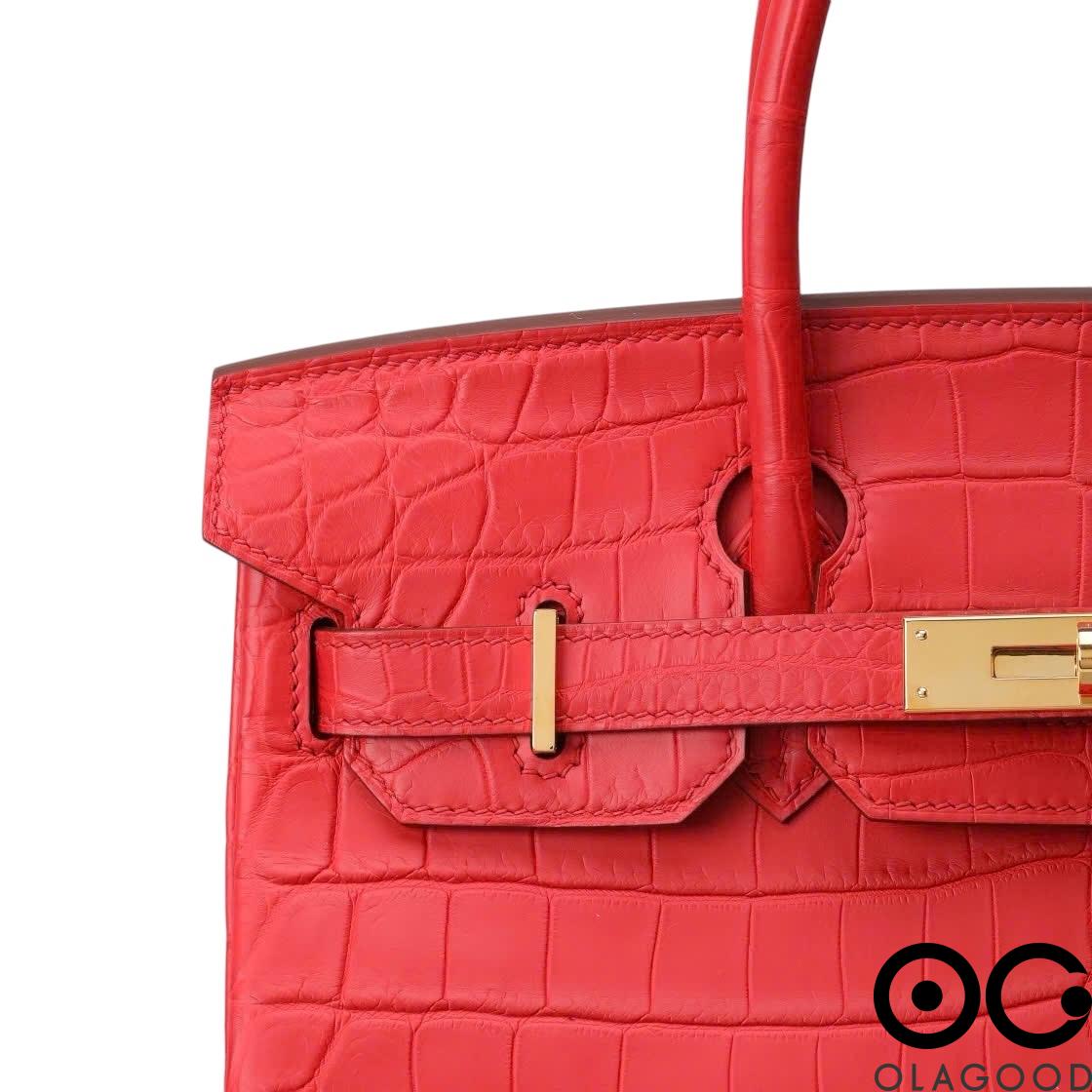 Túi xách cá sấu nữ da cá sấu sông Nile - TXB0238S - Hình ảnh 17