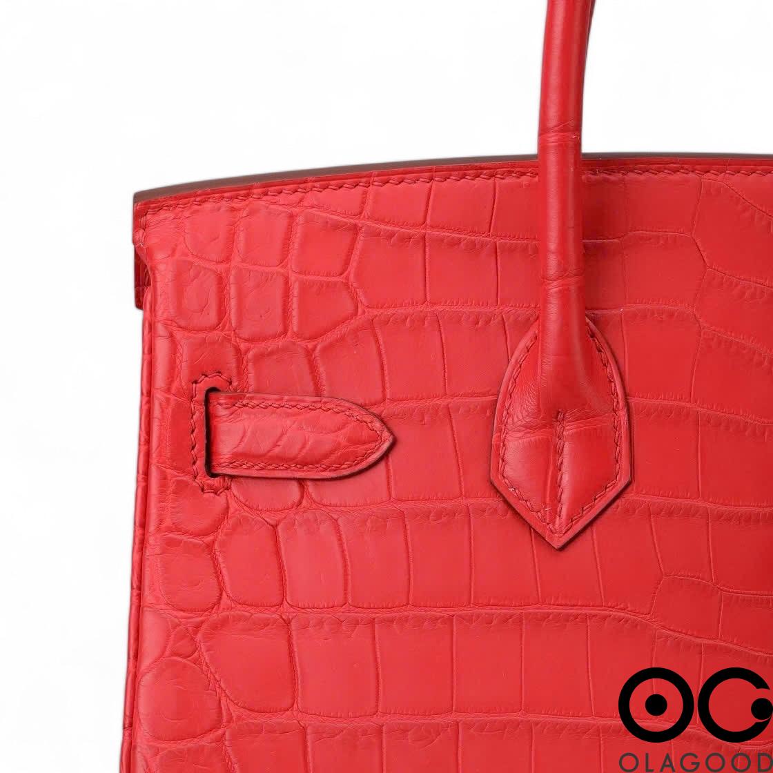 Túi xách cá sấu nữ da cá sấu sông Nile - TXB0238S - Hình ảnh 13