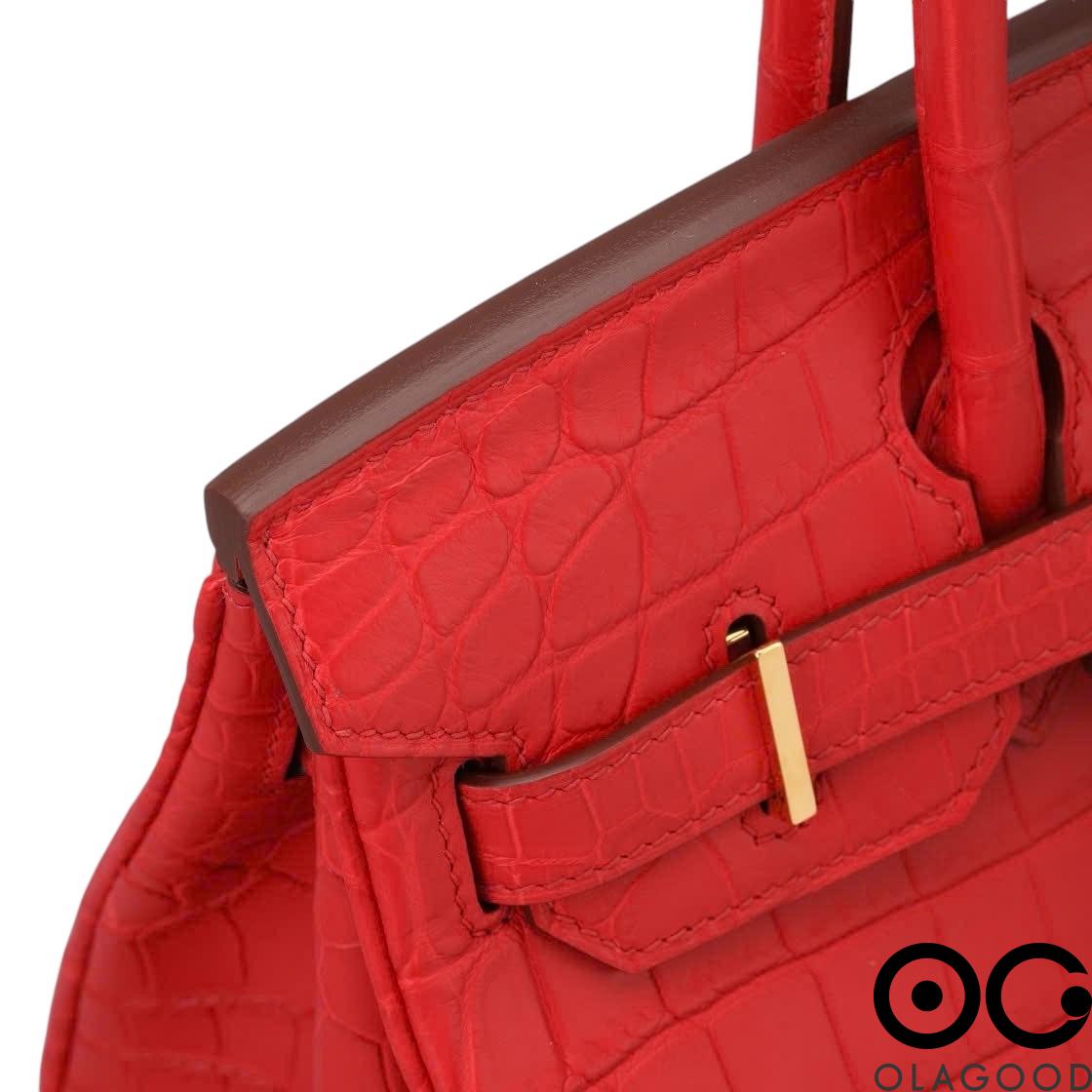 Túi xách cá sấu nữ da cá sấu sông Nile - TXB0238S - Hình ảnh 15