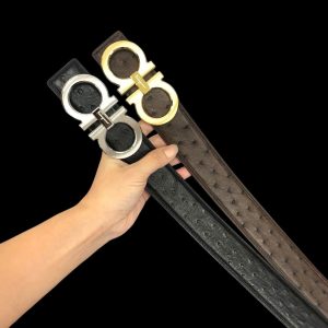 Thắt lưng đà điểu - TL016D