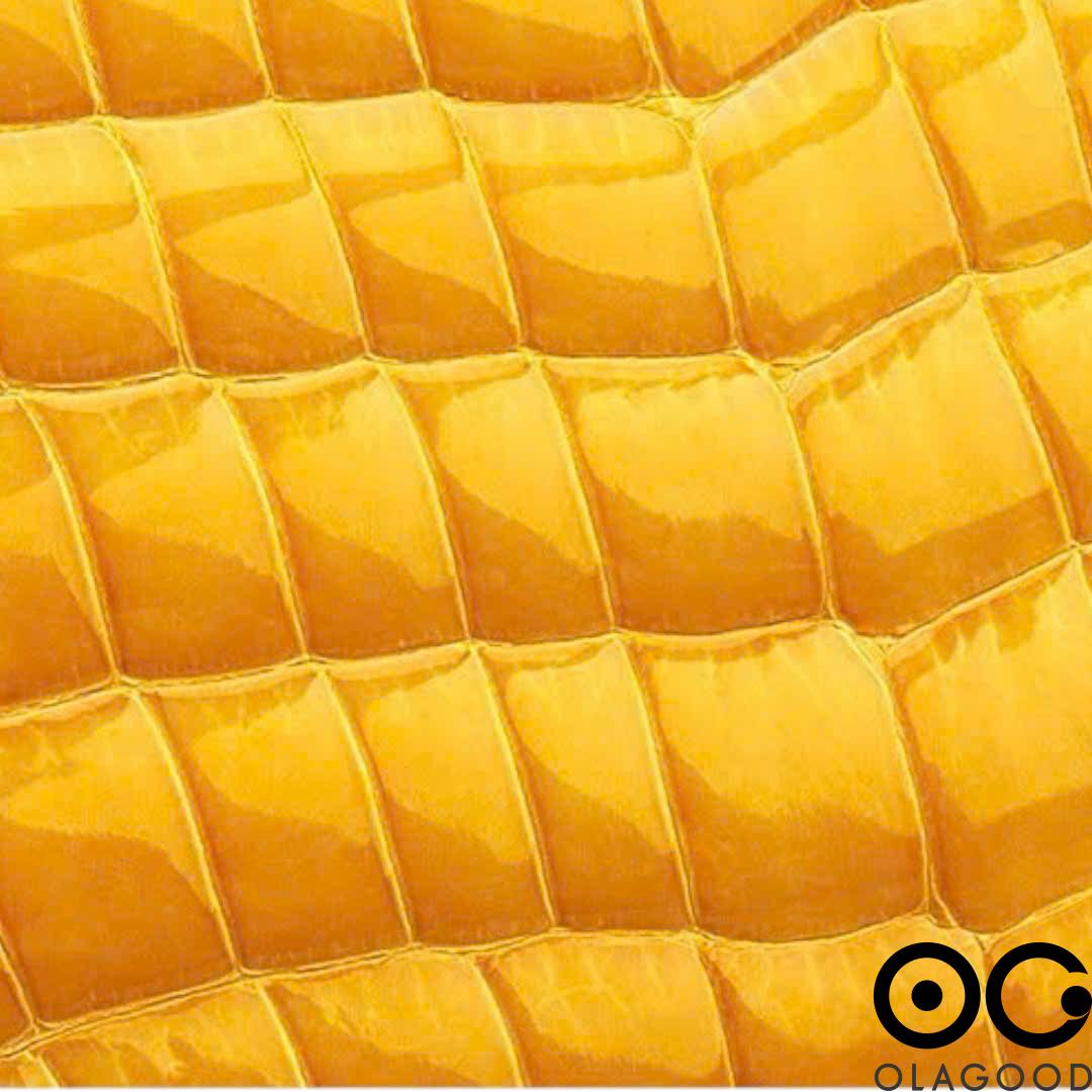 Túi nữ cá sấu hàng hiệu - TXN0266S - Hình ảnh 11