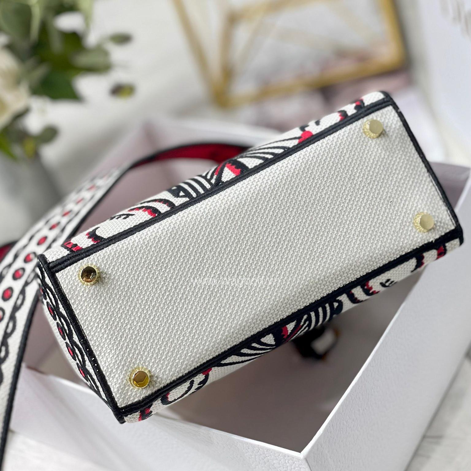 Túi Dior Medium Lady D-Lite Bag - DODL021 - Hình ảnh 9