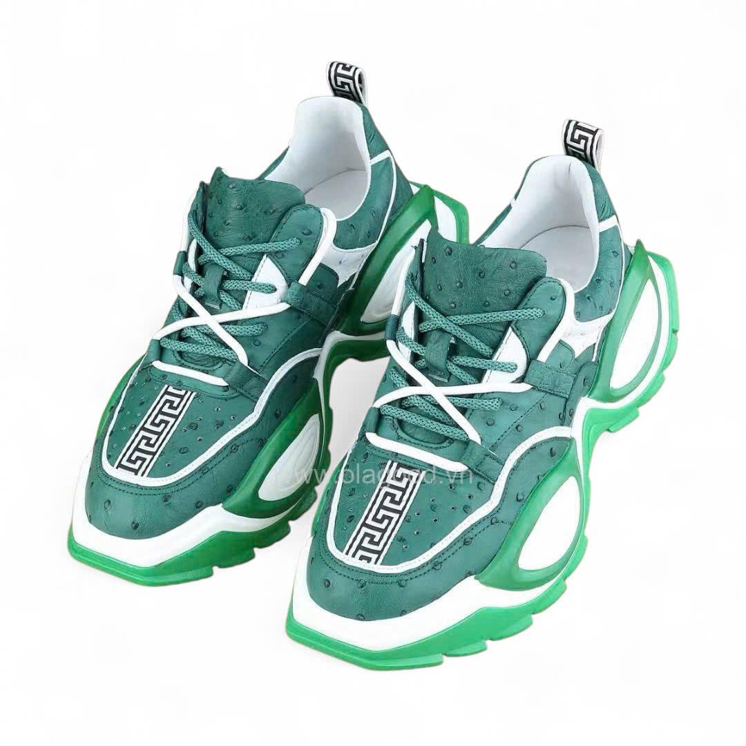 Giày nam thể thao đà điểu - GTT0119D - Hình ảnh 3