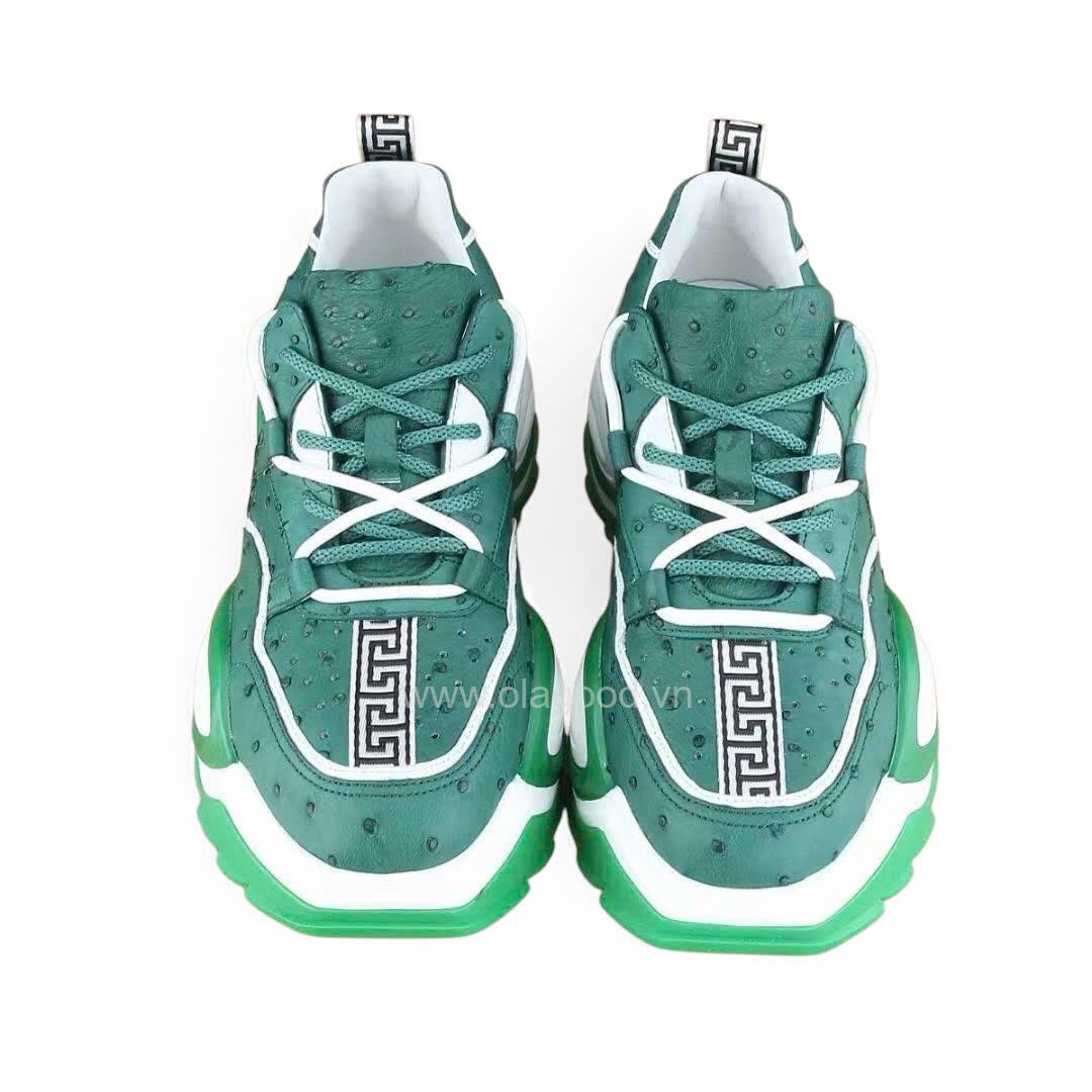 Giày nam thể thao đà điểu - GTT0119D - Hình ảnh 4