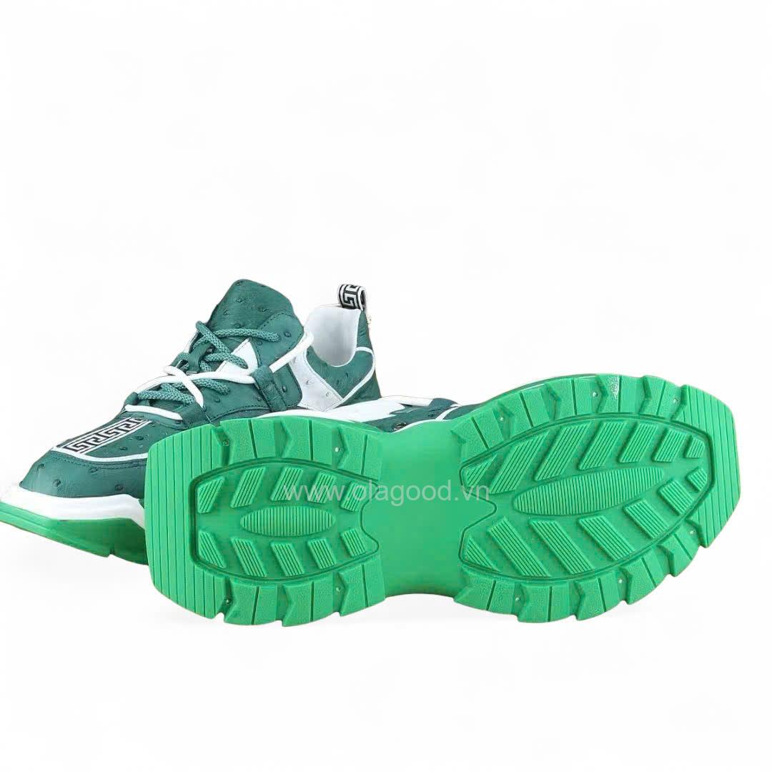 Giày nam thể thao đà điểu - GTT0119D - Hình ảnh 9