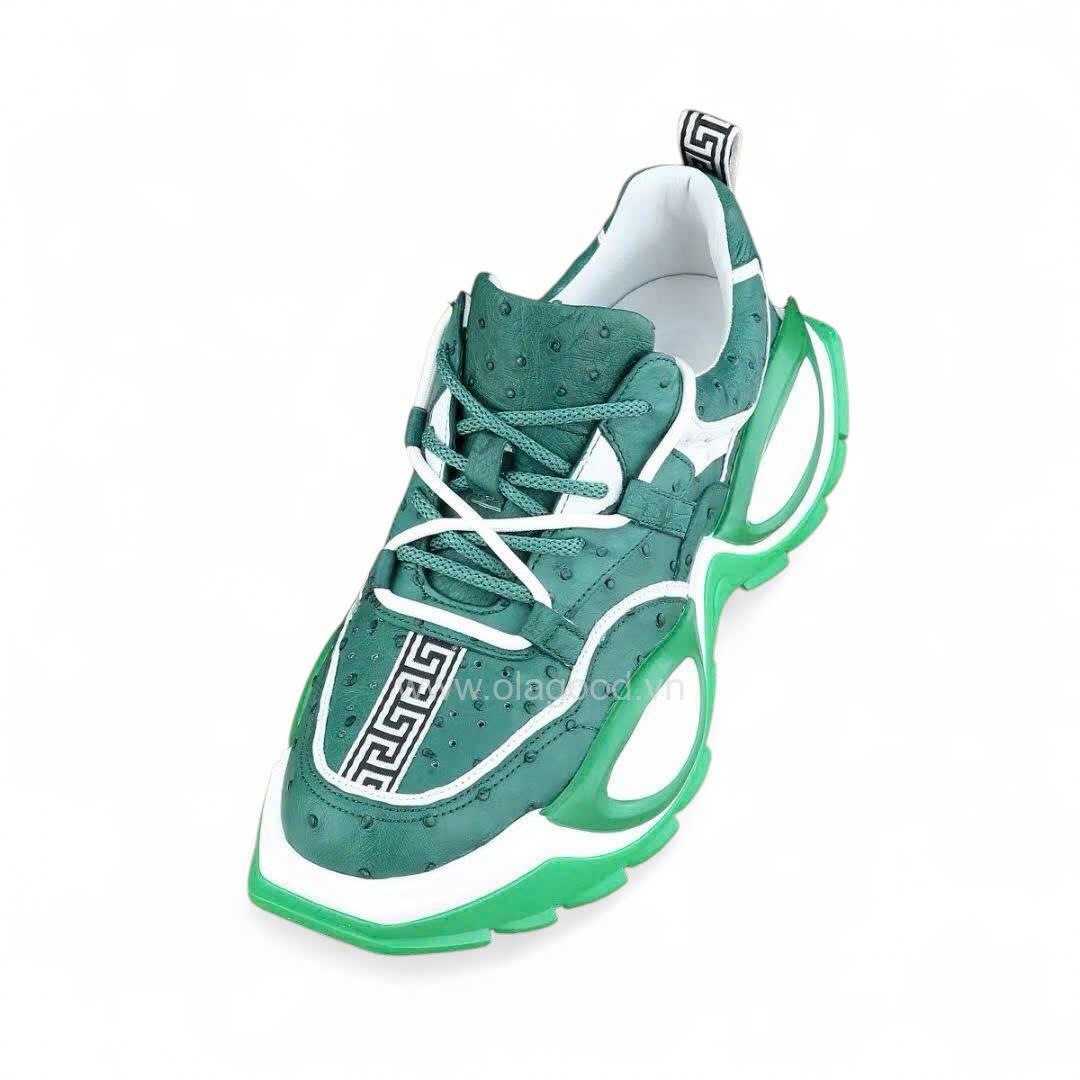 Giày nam thể thao đà điểu - GTT0119D - Hình ảnh 8