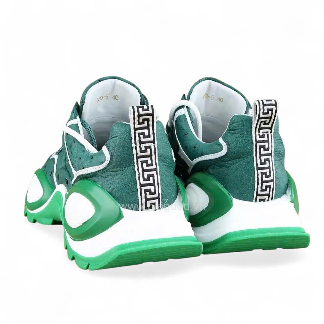 Giày nam thể thao đà điểu - GTT0119D - Hình ảnh 10