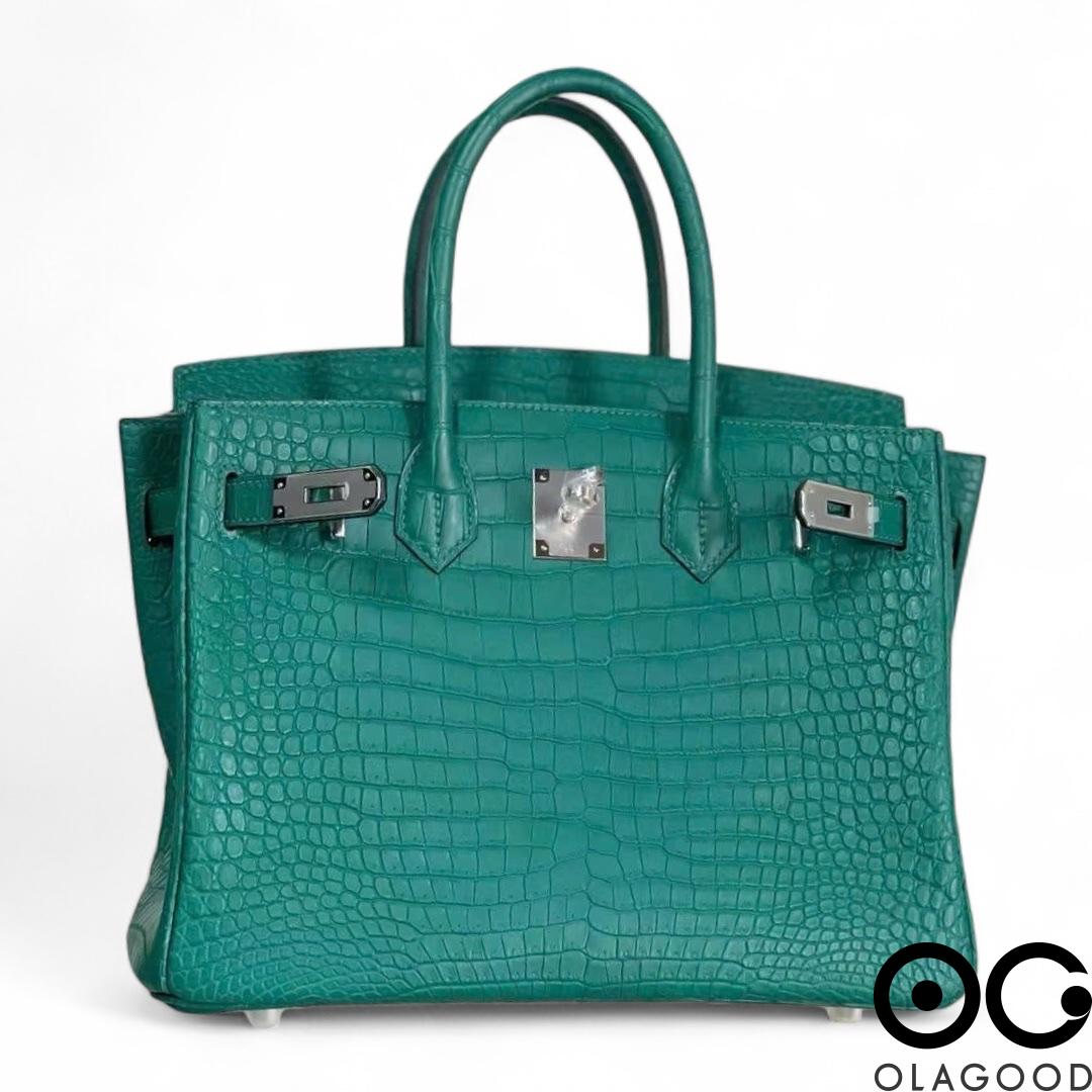 Túi xách nữ BKHM da cá sấu porosus - TXN02101S - Hình ảnh 4