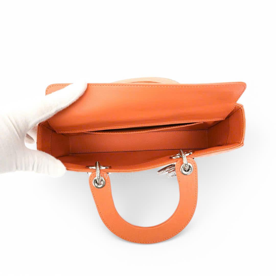 Túi xách nữ da đà điểu - TXNU029D - Hình ảnh 16