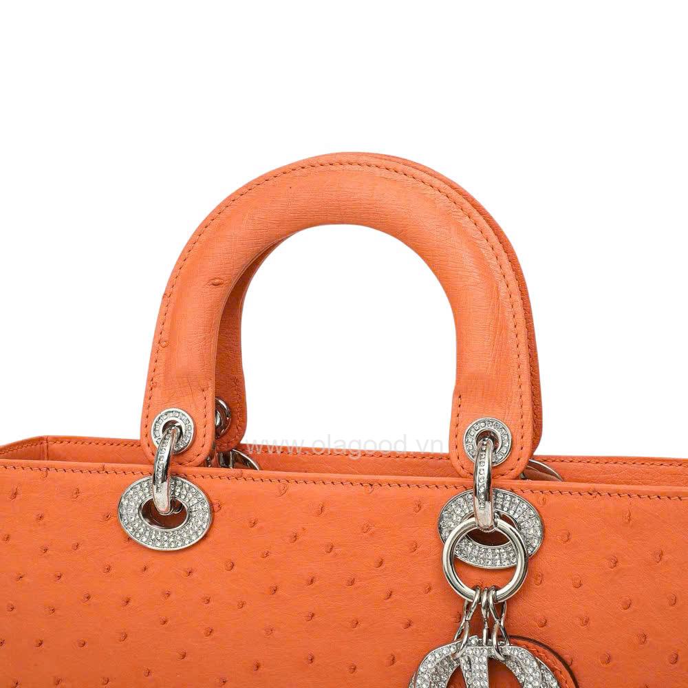 Túi xách nữ da đà điểu - TXNU029D - Hình ảnh 13