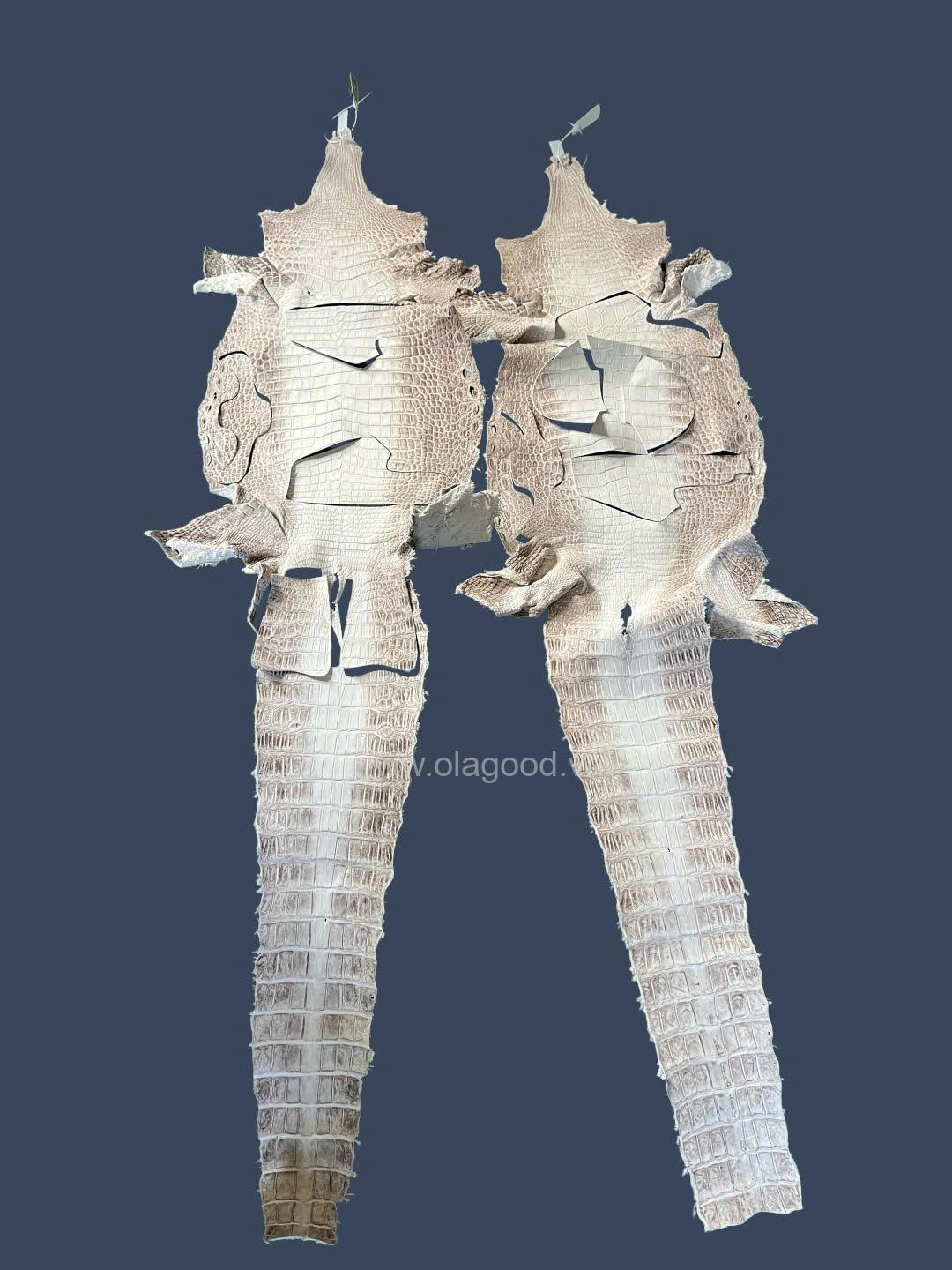 Giày Sneaker da cá sấu himalaya cao cấp - GTT0169S - Hình ảnh 8