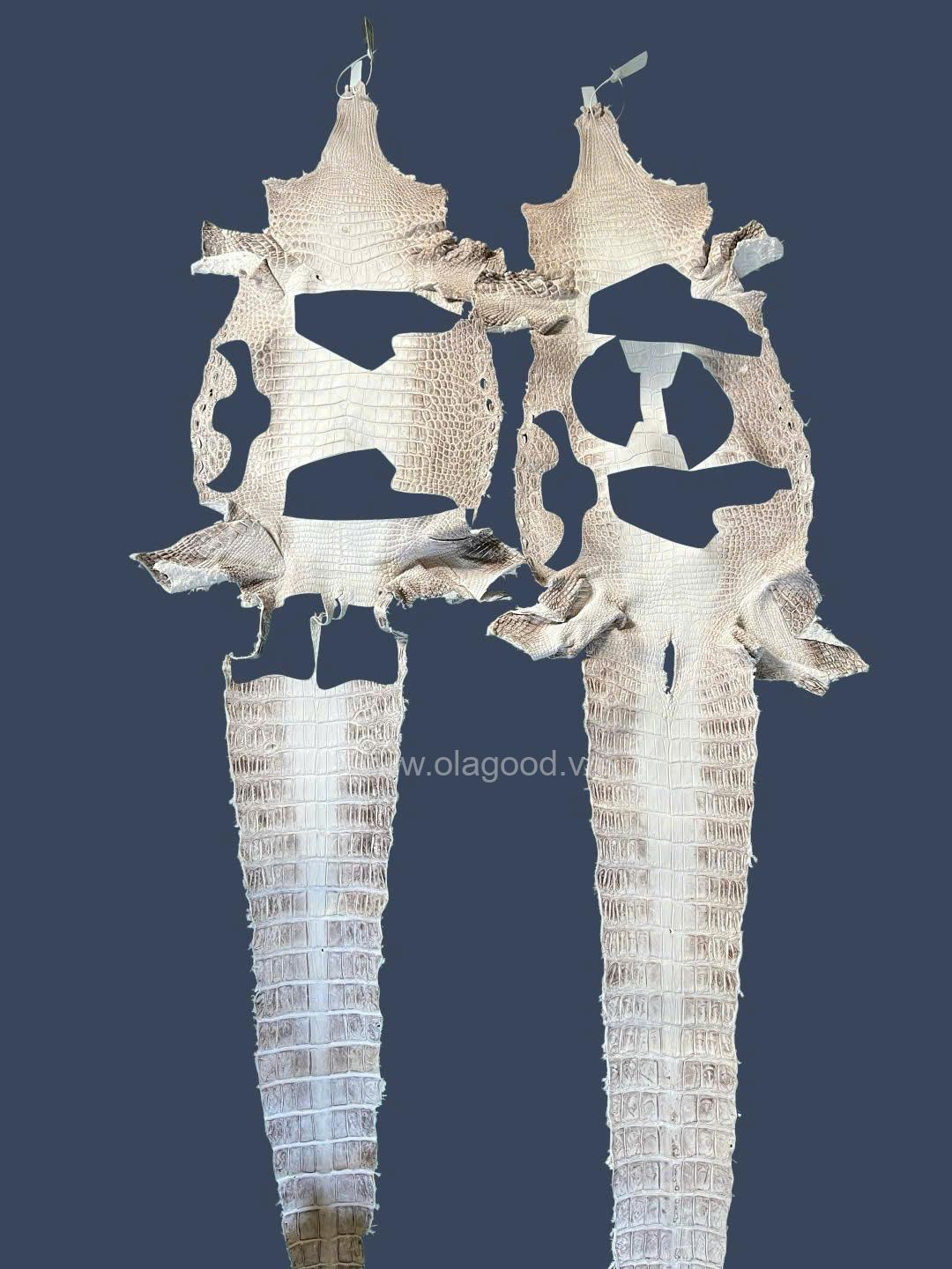 Giày Sneaker da cá sấu himalaya cao cấp - GTT0169S - Hình ảnh 9